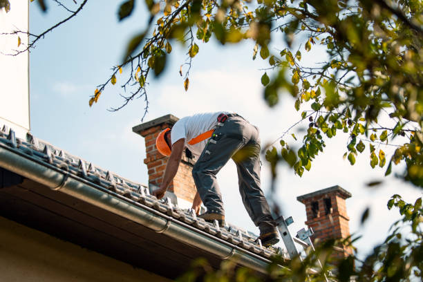 Best Roof Gutter Cleaning  in Eddyville, KY