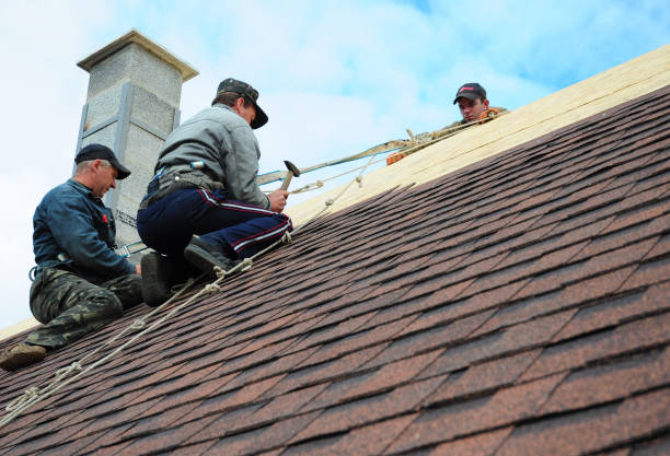 Best Affordable Roofing Company  in Eddyville, KY