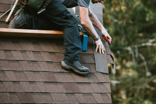 Best Roof Maintenance Services  in Eddyville, KY